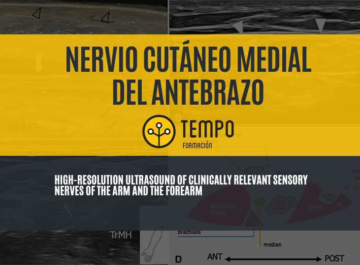 nervio-cutaneo-medial-del-antebrazo-y-ecografia